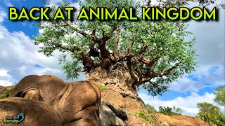 Last Ride on Dinosaur, Exploring The Park & More! Animal Kingdom Vlog