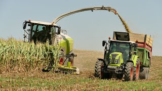 Ensilage de maïs 2019 | Nouvel Orbis 750 | Claas Jaguar 950 | SNC Didelot frères