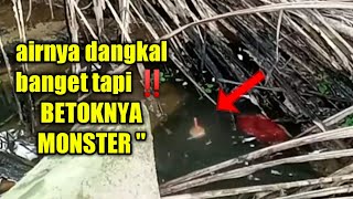 AIRNYA DANGKAL BANGET TAPI BETOKNYA MONSTER MONSTER || Mancing betok monster