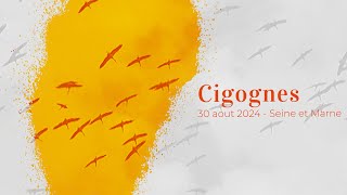 2024 - Cigognes