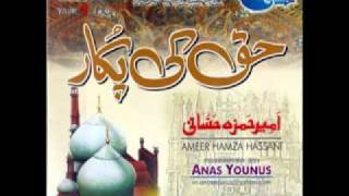 Molana Anas Younus Presents Ameer Hamza Hassani Volume No.1 Haq Ki Pukar (Promo)