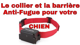 😺 Le collier anti fugue Petsafe pour chien