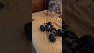 #rockpiratesrc #vanquishproducts #teamtekin#dogs#rccrawler#shortvideo #reefsrc#rccars#holmeshobbies