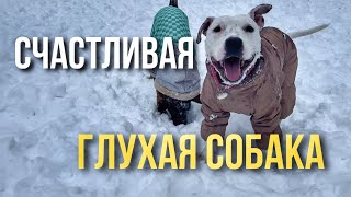 ОЧЕНЬ ХОРОШИЙ ДЕНЬ У ГЛУХОЙ ТЭФФИ | ПОСЕТИЛИ КАФЕ | НАС УЗНАЛА ПОДПИСЧИЦА | ТЭФФИ НАИГРАЛАСЬ С НИКОЙ