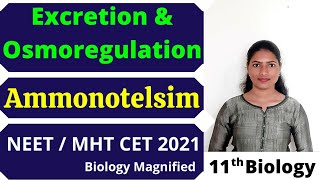 Ammonotelsim | Modes of Excretion | Excretion & Osmoregulation | NEET | MHTCET 2021 | 11th Biology