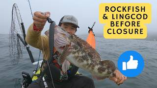 FINAL Rockfish Trip before Closure| How to fish for Rockfish & Lingcod 2024