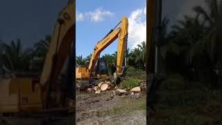 Excavator LiuGonG CLG 920E, working in the plantation for chipping the old palm tree...