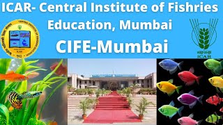 ICAR-CIFE,MUMBAI || CENTRAL INSTITUTE OF FISHRIES EDUCATION, MUMBAI || Top Fishery College of India💙