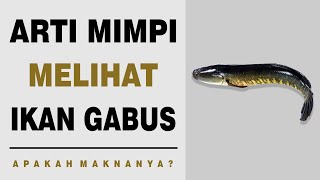 Arti Mimpi Melihat Ikan Gabus