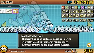 The Battle Cats - Macho Crystal Cat Boosted!