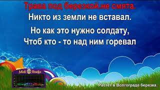 Растет в Волгограде березка