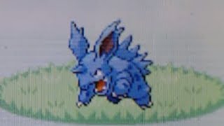 [Safari Week] LIVE! Shiny Nidorino after 448 REs in Leaf Green! (Phase 17)