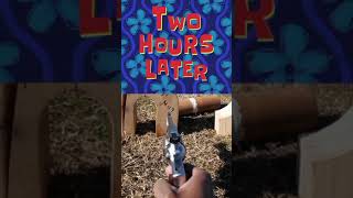 9mm vs 357 Magnum