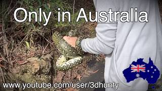 Snakes alive - only in Australia