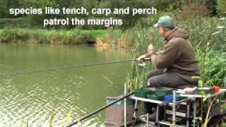 Crucians and Tench on Waggler, Milton Lake at Bury Hill Fishery #fishingtips