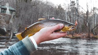 Winter Fishing for Brown Trout in Catskills, New York - Smooch and Release