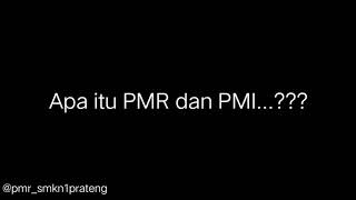 Apa Itu PMR dan PMI ???