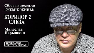 Милослав Нарышкин - "Слеза", читает автор