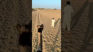 Rajasthani status video