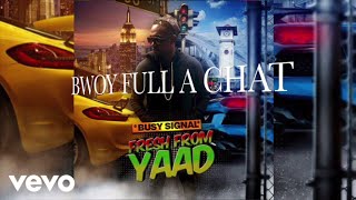 Busy Signal - Bwoy Full A Chat (Audio)