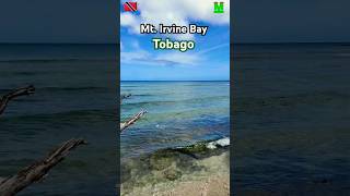 Mount Irvine Bay Tobago surf Beach 🇹🇹