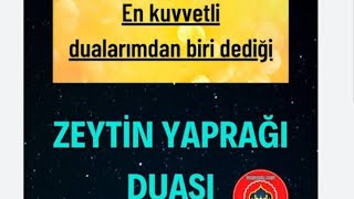 11 Zeytin tanesine bunları oku sırrı yaşa