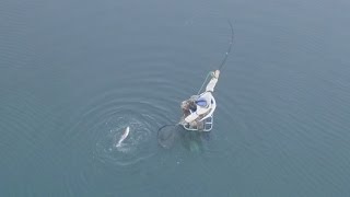 Pyramid Lake Nevada Fly Fishing - The Final Hour (Epic Drone Footage)