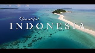 Indonesia - RELAX edition - no spearfishing