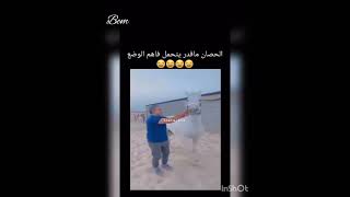 الخيل مايركبه إلا خيالها🤣🤣🤣