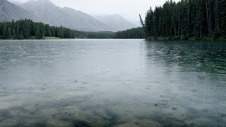 Nature Landscape While Raining | Shorts