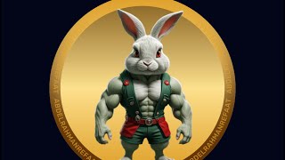 طريقة حل لغز rocky Rabbit اليوم 5/8/2024 | #rocky