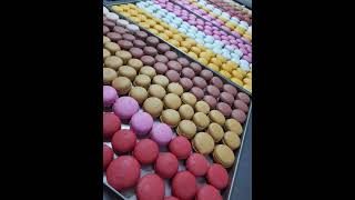 ## macaroons #❤️ 7 flavor & Chef Sharvan Kumar from India 🇮🇳 ❤️❤️❤️🎂🎂🎂