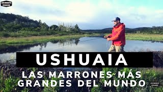 Pesca de truchas con mosca en una laguna y castoreras - Ep. 1