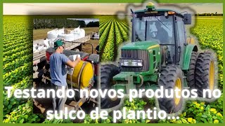 Continuação do plantio com experimento de novos produtos para sulco de soja com trator JD 6100j.