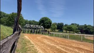 Hot Boss and Chattolanee Spring gallop out of gate on 6/19.