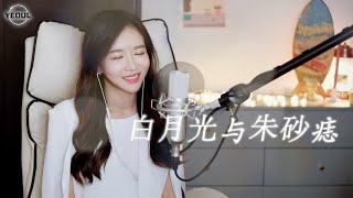 大籽 대자 《白月光与朱砂痣 달빛과 홍조》｜중국노래 커버｜COVER by 韩国欧尼蔚蔚한여울