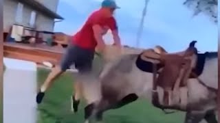 MAN VS HORSE - THEY BOTH DIDN’T KNOW IT WAS COMING!