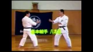 Kazutaka Otsuka - Kihon Kumite 8