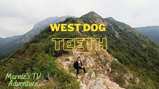 West dog teeth / 狗牙嶺  to Lan tau Peak 凤凰山 going down to Wisdom Path ( HK Hiking Adventure)