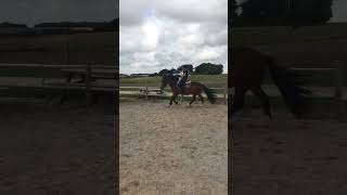 Canter without hands agian❤️❤️ #pony #horse #shortvideo #cutepony #horseriding #cute #riding