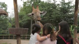 Behind the Scenes at the Zoo: A Day in the Life of Zookeepers!