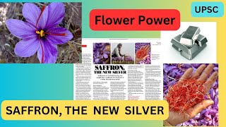 Saffron,The new Silver|Crocus sativus(Red Gold)|TheHinduAnalysis |UPSC |Environment |Divya Sharma