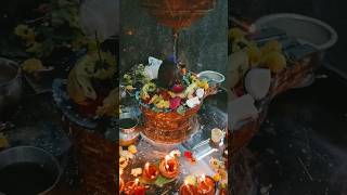 Hara Mahadeva || shiva pooja || kartika masam || day 9| hindu dharma