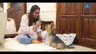 Ensure Furry Friend Health: Heartwarming Pet Insurance Testimonial - Bajaj Allianz General Insurance