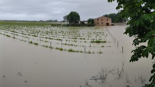 A fome está chegando mais rápido do que pensávamos