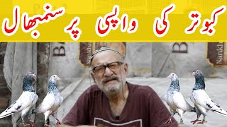 Garmi mein kabootar ki sambhal | Khawaja Mujeeb | Kabutar Tv | Kabotar Bazi | کبوتر کی سنمبھال ؔ |