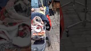 Baby Dog in Berlin #life #fun #travel #beautiful #lifestyle #dog #animals #shorts #dogs #pets #funny