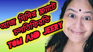 দিদির ফ্ল্যাটে স্বয়ং tom and jeery।। piyalirdin @msfamily2580 @probaseghorkonna2712