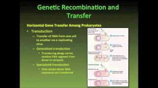 MICROBIAL GENETICS: GENETIC RECOMBINATION AND TRANSFER