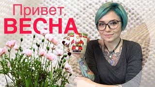 ИТОГИ февраля. ПЛАНЫ на весну.